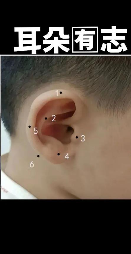 无他耳是什么意思