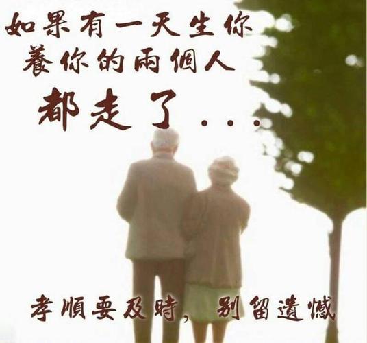 我为家人转了