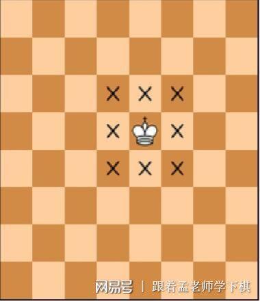 国际象棋王的走法图解视频