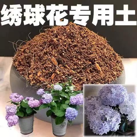 栽茶花用什么土最合适