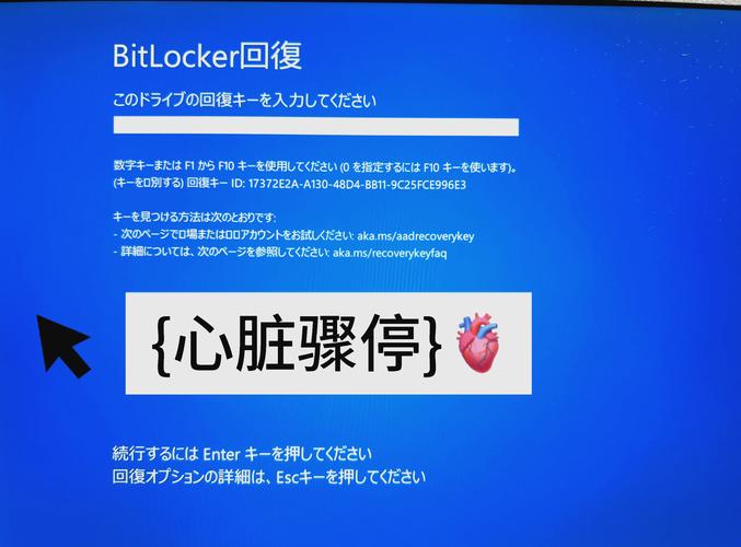 bitlocker的安全性