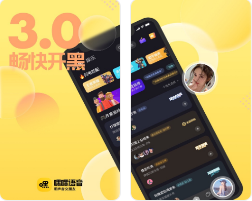 嘿嘿语音现在叫什么图标