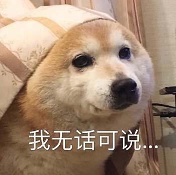 无语的表情图片