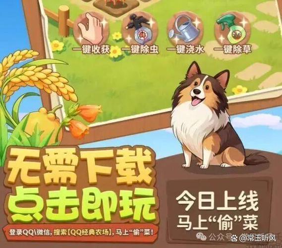 偷菜群