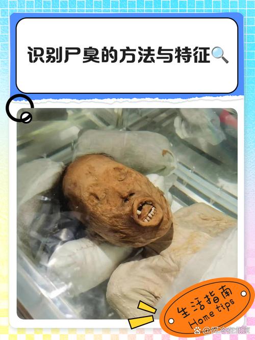 穿越斗破之捡尸成圣截图