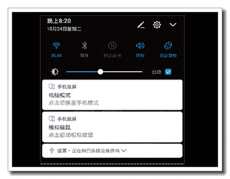 华为 p20 pro图标