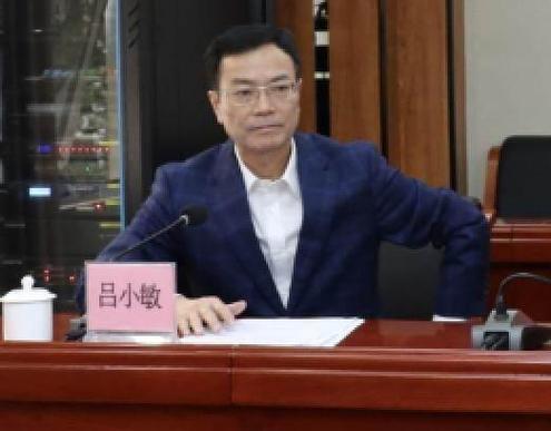 吕小敏的简历
