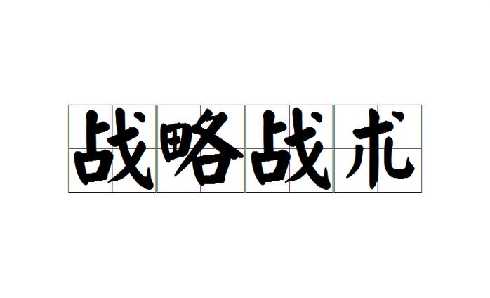 战略与战术中文缩略图