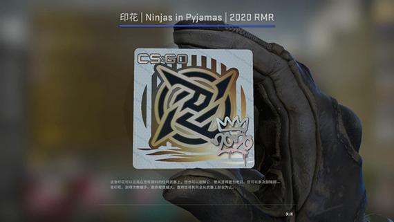 csgo印花图案的含义截图
