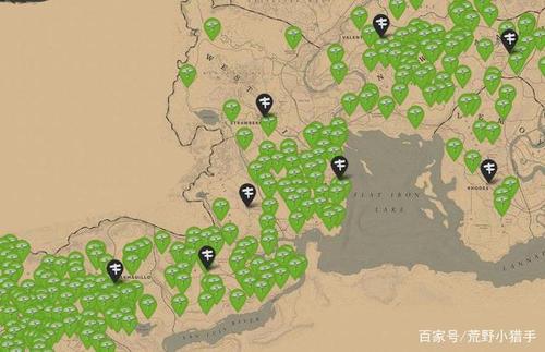荒野大镖客2蘑菇分布图