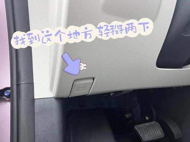 海豚前盖怎么打开