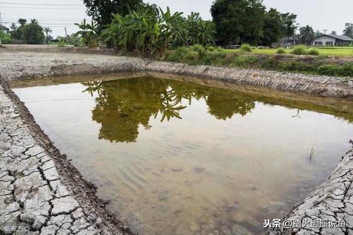 鱼塘是什么意思网络用语