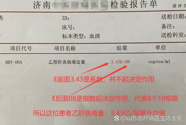 dna定量检测报告怎么看