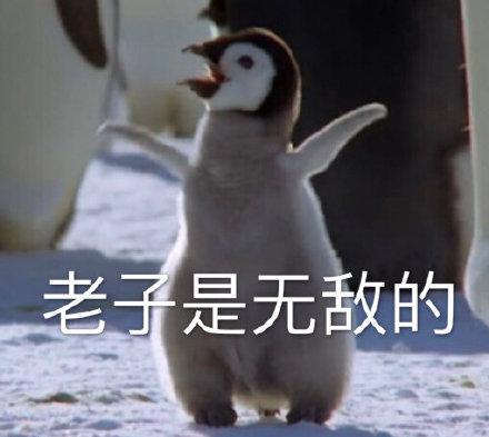史上最无敌的表情包