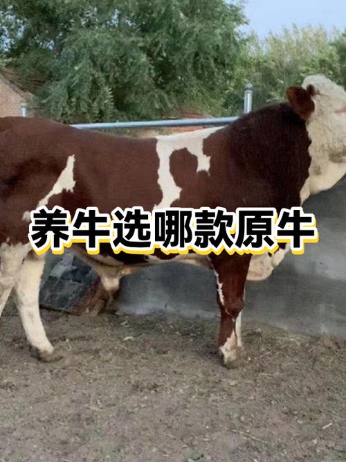 原牛洗3次就废了吗