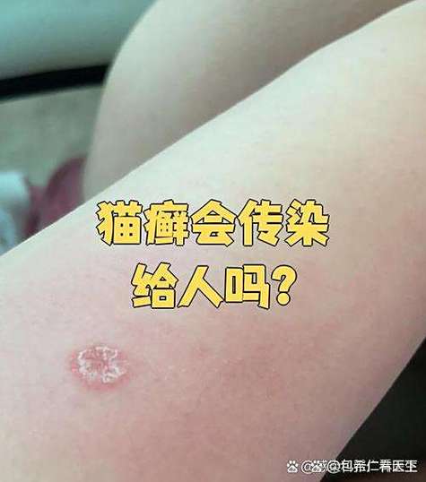 卖猫赚钱吗游戏截图