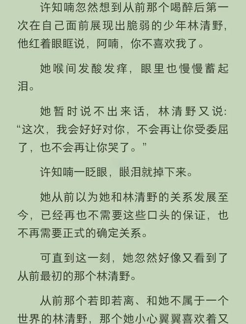 林清野许知喃免费阅读
