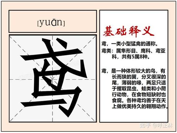 就加个鸟字念什么缩略图