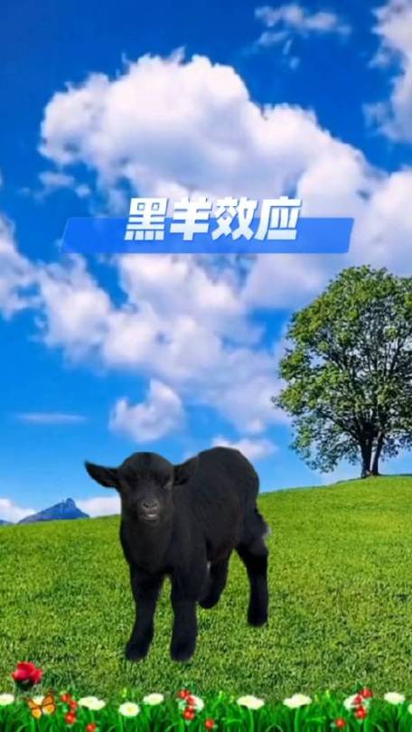 黑羊效应