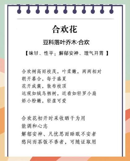 合欢花功效与作用及禁忌副作用