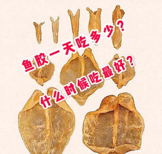 鱼胶多久吃一次效果好