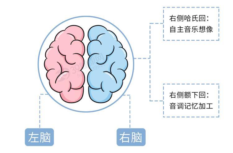 脑子里有人唱歌是什么原因