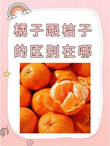 是橘子还是桔子有啥区别缩略图