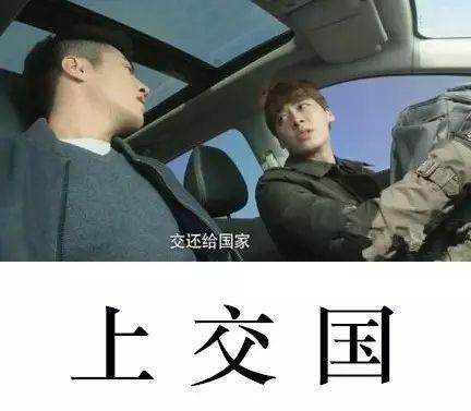 我把自己上交给国家了图标