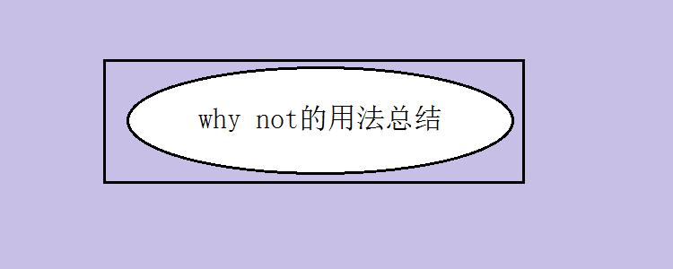 Why not后面加什么