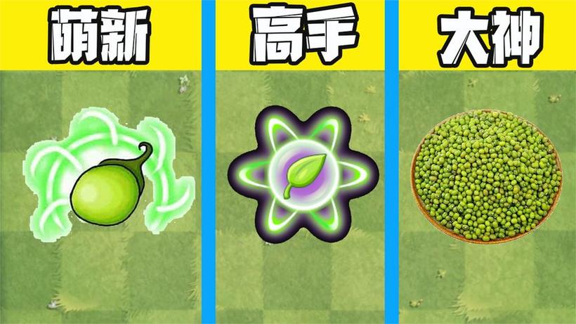 植物大战僵尸2能量豆