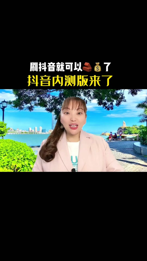 试看是什么意思