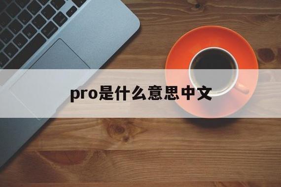 pro中文叫什么