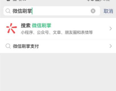 微信刷掌支付如何开通截图
