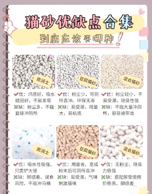 怎么判断猫砂该换了