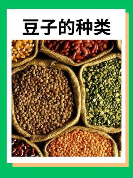 豆子的种类截图