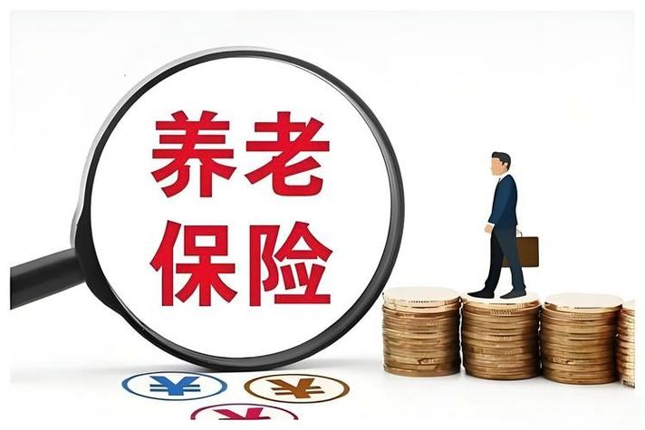 养老保险不小心交了两次