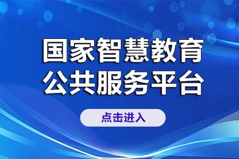 国家智慧平台登录入口图标