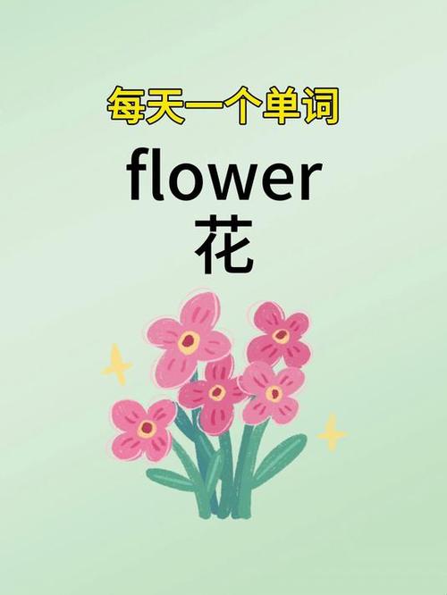 flower游戏截图