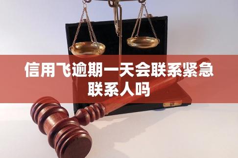 信用飞多久联系紧急联系人游戏截图