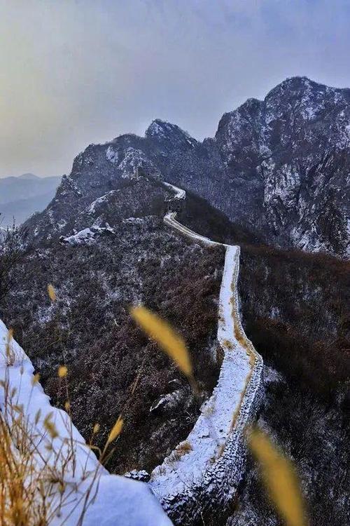冬天的旋风,成不了气候是什么生肖图标