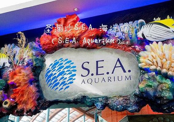 海洋馆最火三句话