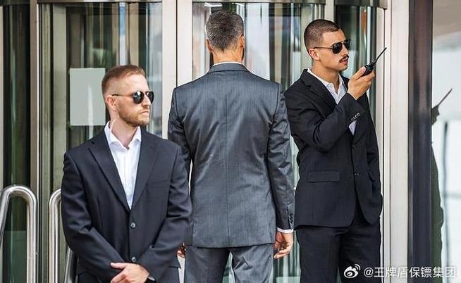 普通人找保镖的后果截图