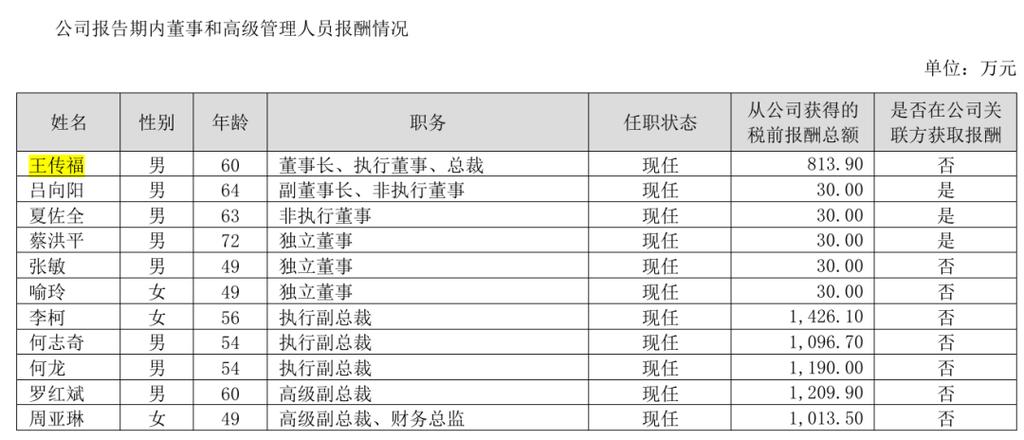 vivo高级总监年薪