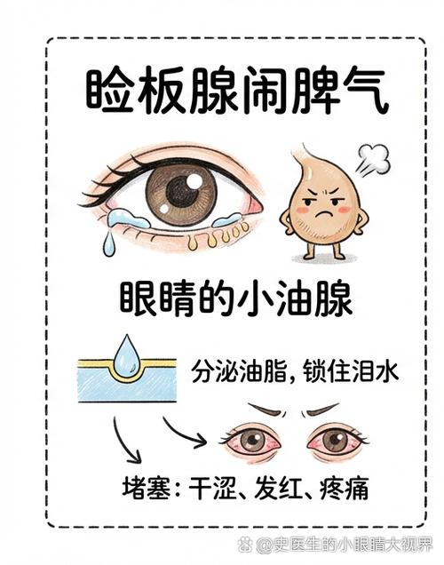 吃完火锅后吃什么排油脂