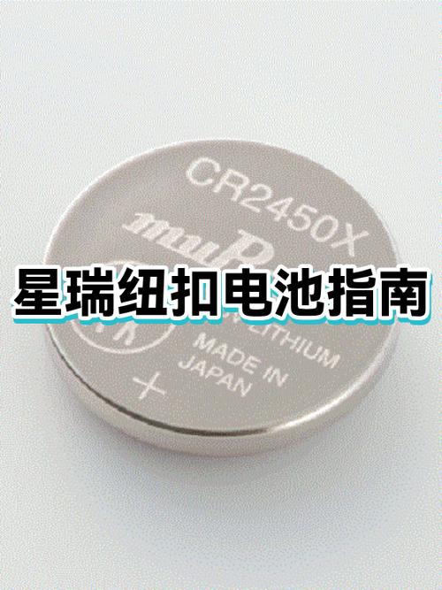 星瑞钥匙电池型号