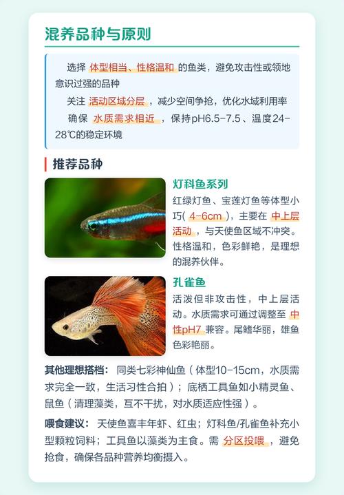 鱼和什么可以一起养游戏截图