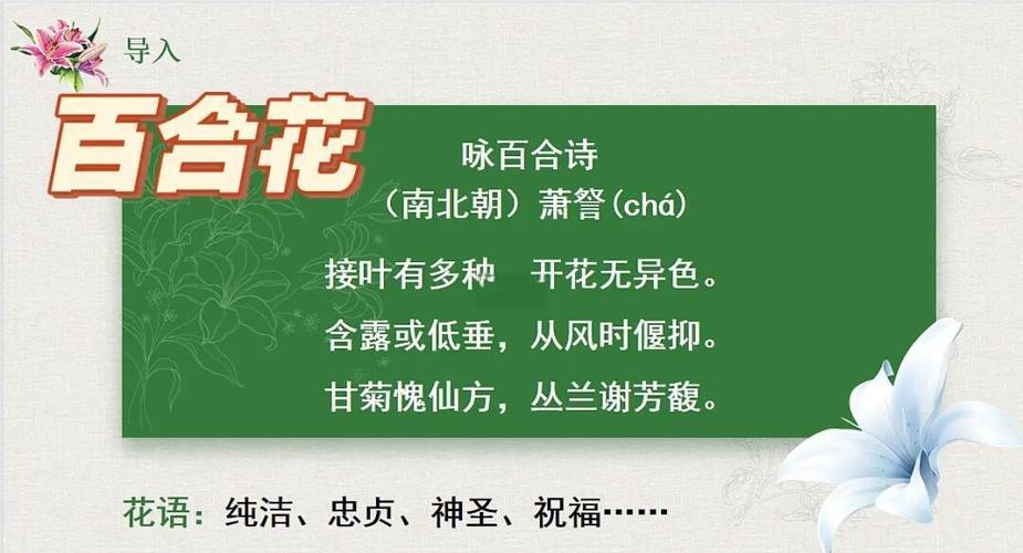 《百合花》名词解释图标