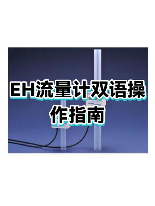 EH怎么登陆
