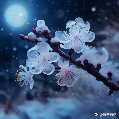 雪花特效