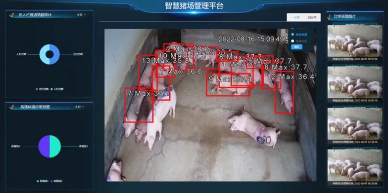 网上智能养猪靠谱吗